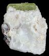 Apatite Crystals with Magnetite & Quartz - Durango, Mexico #64026-1